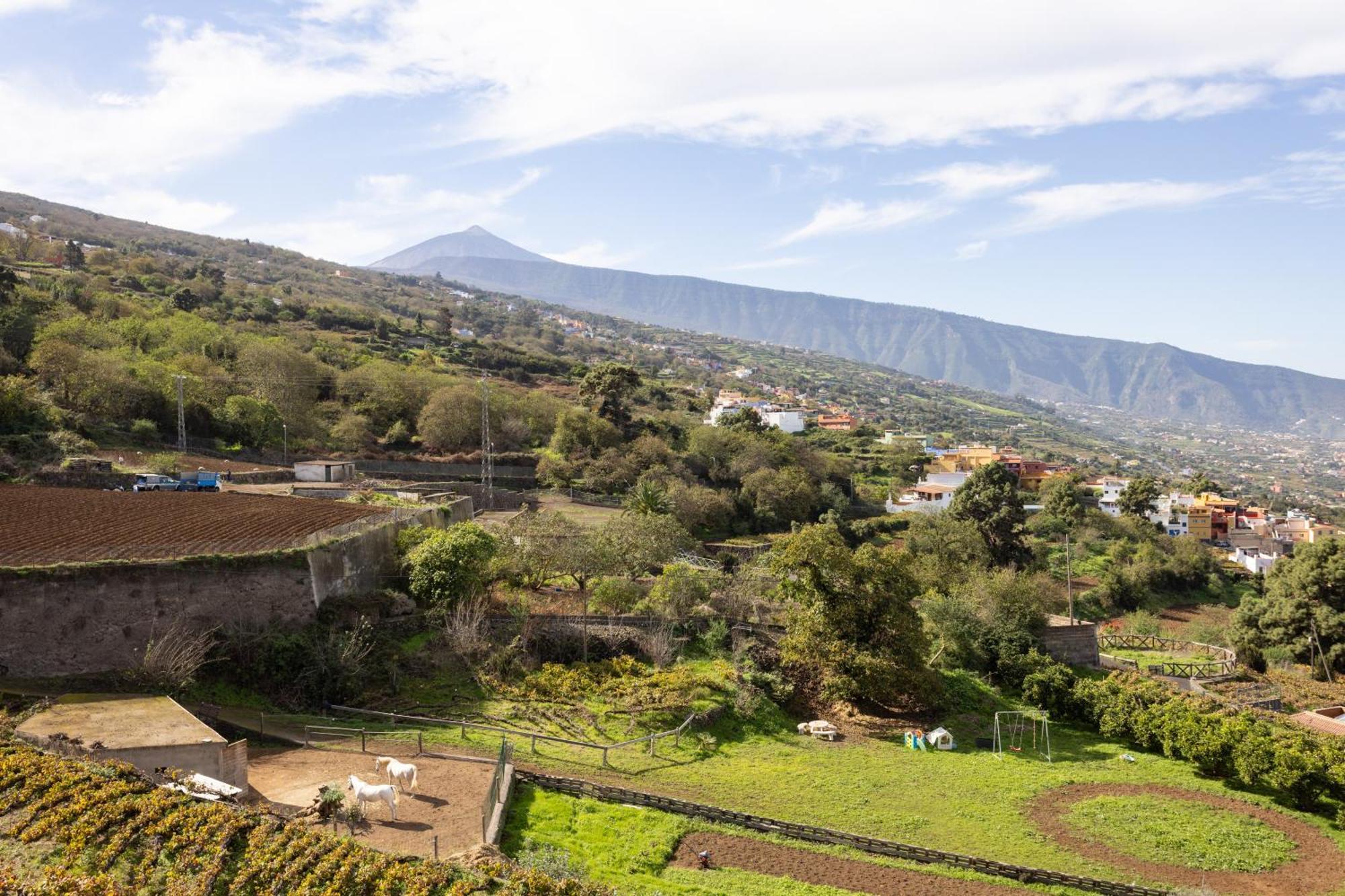 Ek Las Vistas Finca El Milagro Ла-Оротава Екстер'єр фото