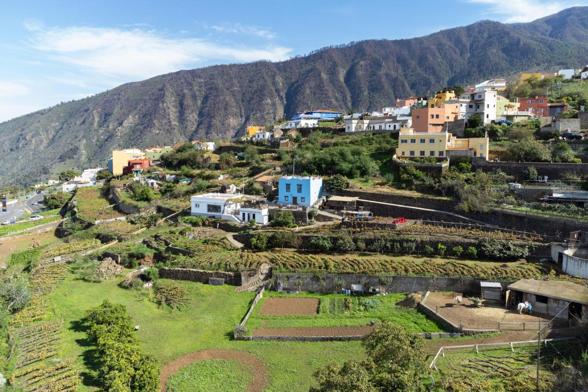 Ek Las Vistas Finca El Milagro Ла-Оротава Екстер'єр фото