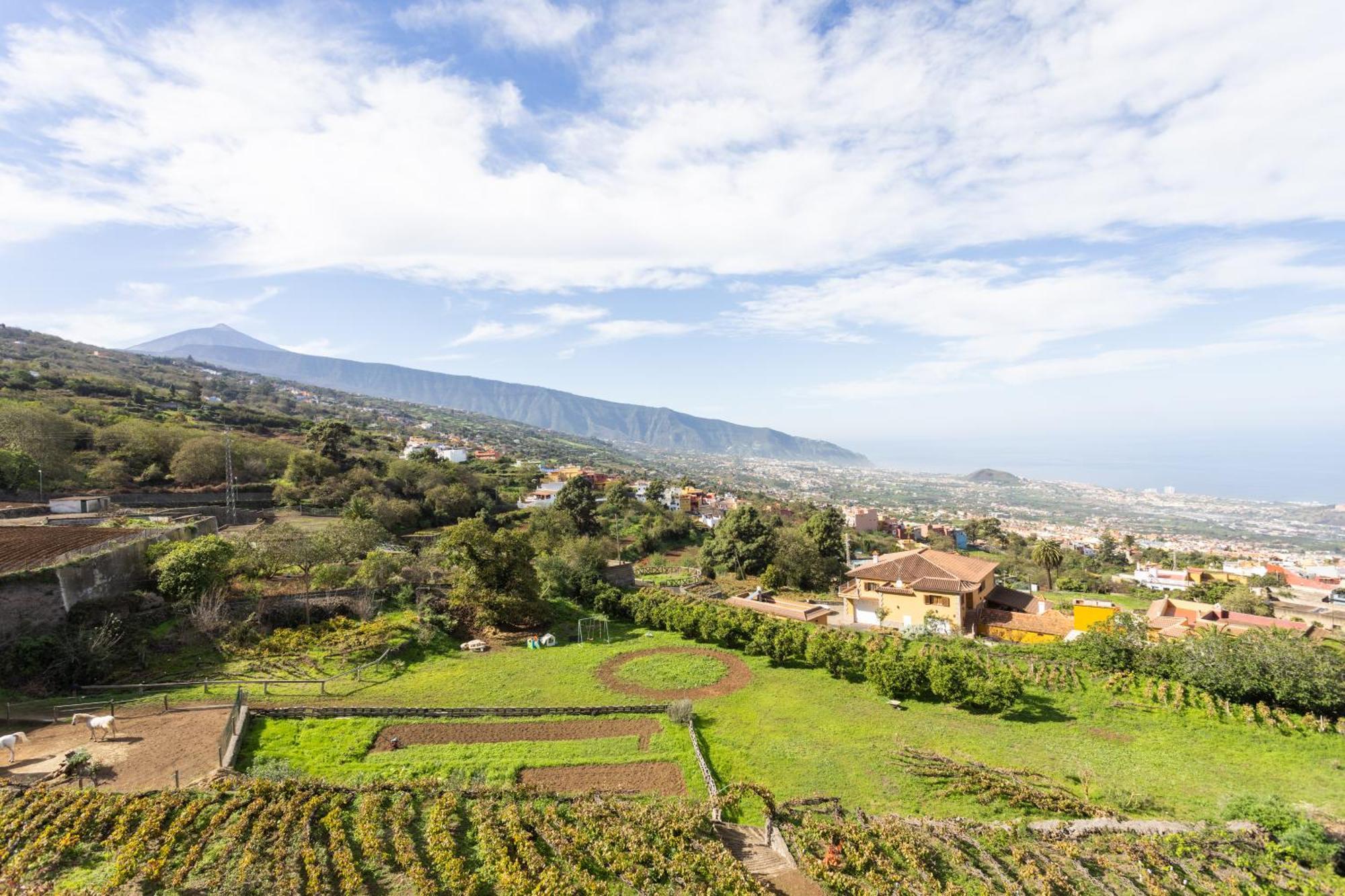 Ek Las Vistas Finca El Milagro Ла-Оротава Екстер'єр фото