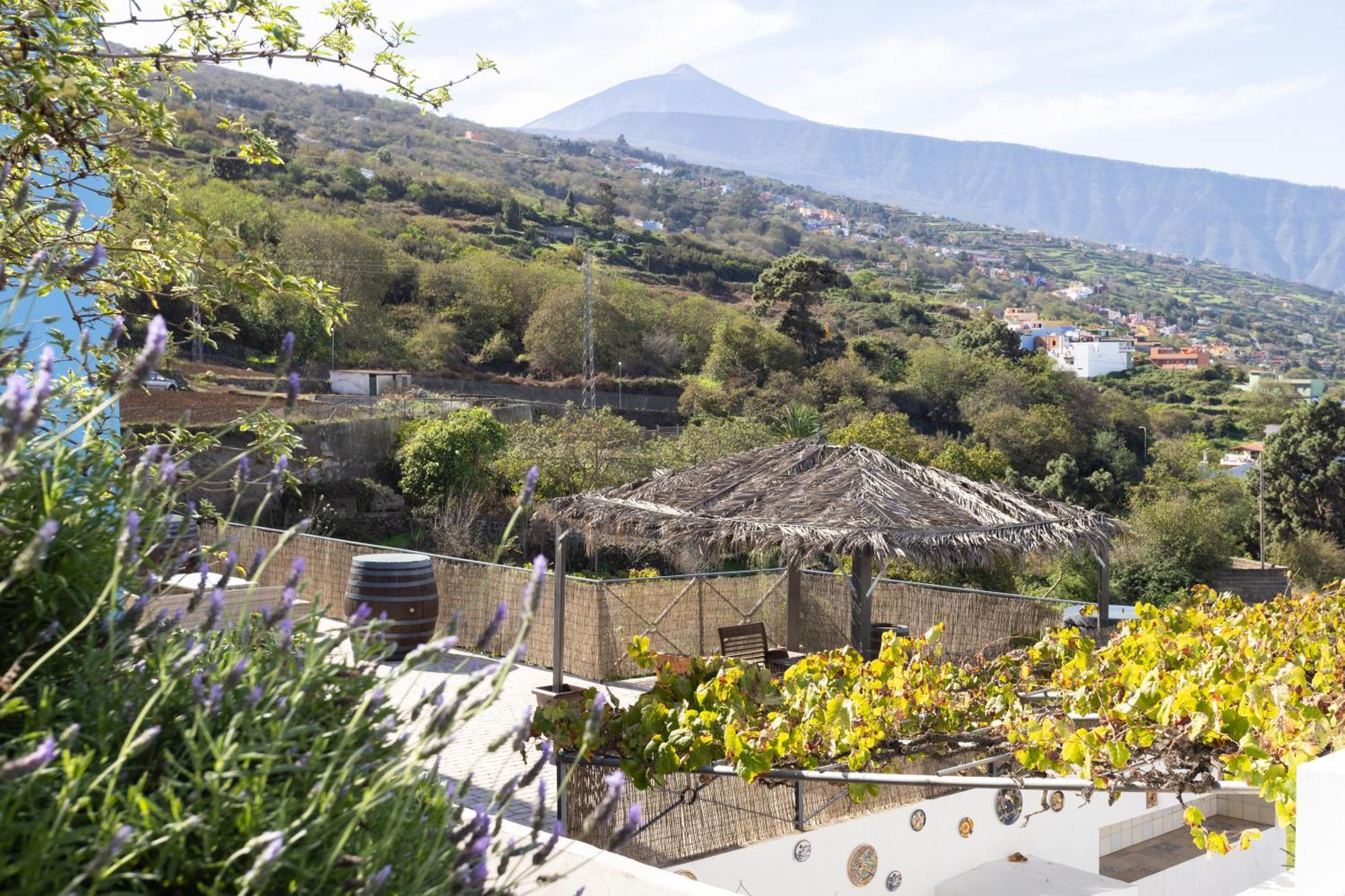 Ek Las Vistas Finca El Milagro Ла-Оротава Екстер'єр фото